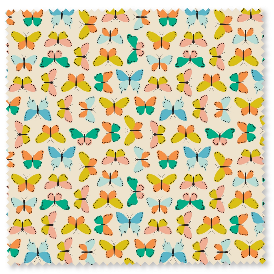 Beetles & Butterflies